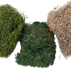 May include: Three bundles of decorative moss in varying shades of green and brown. The moss has a curly, textured appearance, ideal for crafts and floral arrangements. The image is set against a white background.