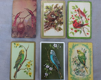 6 Vintage Playing Cards for Swap Cards ATC with Birds Parakeet Cardinal