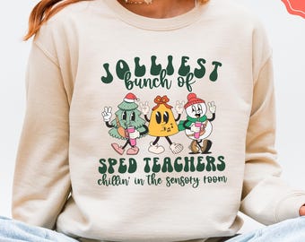 Funny SPED Teacher Christmas Sweatshirt, Retro Holiday Team Shirt