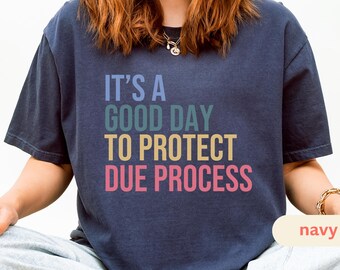 Protect Due Process T-Shirt, Comfort Colors Unisex Tee