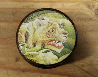 Tiger in the Jungle -- Decoupage pill box with gold trim -- Large, 2"