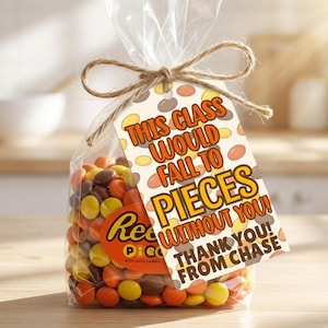 Puede incluir: Una bolsa transparente llena de caramelos Reese's Pieces, atada con hilo y una etiqueta que dice "THIS CLASS WOULD FALL TO PIECES WITHOUT YOU! THANK YOU! FROM CHASE." Los caramelos son de color naranja, amarillo y marrón.