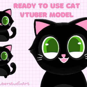 Cat Vtuber Model, Cat Live2D Model Avatar, vtubers pet cat model, black cat vtuber model, ready to use vtuber model