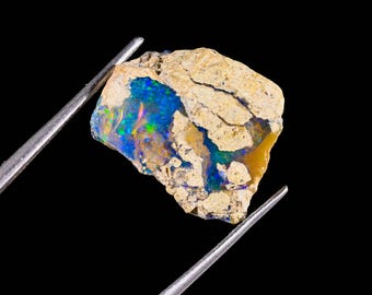 May include: A raw, unpolished boulder opal specimen featuring a rough, tan-colored matrix rock with exposed patches of vibrant, iridescent blue and green play-of-color. The gemstone is held by metal tweezers against a solid black background.
