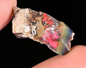 May include: A raw, unpolished opal gemstone fragment featuring a rough, textured beige matrix on one side and a smooth, translucent surface displaying vibrant flashes of neon red, yellow, and deep blue iridescence against a dark, natural stone base.