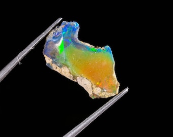 May include: A raw, unpolished opal gemstone held by metal tweezers. The stone features a vibrant play-of-color with iridescent flashes of blue, green, and orange against a translucent body, with a rough, textured, light-colored rock matrix base.