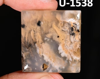 May include: A square-shaped, polished gemstone with a translucent, light beige base featuring intricate, dendritic inclusions in shades of white, tan, and black. The stone is marked with the text U-1538 in the upper right corner.