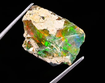 May include: A raw, uncut opal gemstone held by metal tweezers. The stone features a rough, beige, textured matrix top section and a translucent, polished-looking lower section displaying vibrant flashes of green, red, and orange play-of-color.