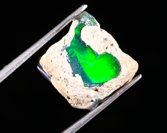 May include: A raw, unpolished gemstone featuring a rough, beige, porous exterior matrix with a vibrant, intense neon green play-of-color visible in the center. The stone is held by metal tweezers against a solid black background.