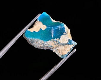 May include: A raw, unpolished mineral specimen featuring a vibrant, translucent turquoise-blue center with jagged, opaque beige-colored rock matrix along the edges, held securely by a pair of thin, silver-toned metal tweezers against a black background.