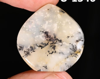 May include: A polished, teardrop-shaped dendritic opal gemstone featuring a translucent off-white base with intricate, dark brown to black fern-like inclusions scattered across the surface. The text U-1546 is visible in the upper right corner.