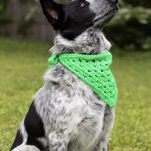 Dog Bandana Crochet Pattern | Pet Scarf PDF | Easy Crochet Pattern for your best boy or girl | Digital Download for Small to Large Pets