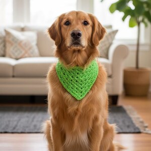 Haakpatroon hondenbandana (pdf), gemakkelijke sjaal voor huisdieren, direct downloaden afbeelding 6