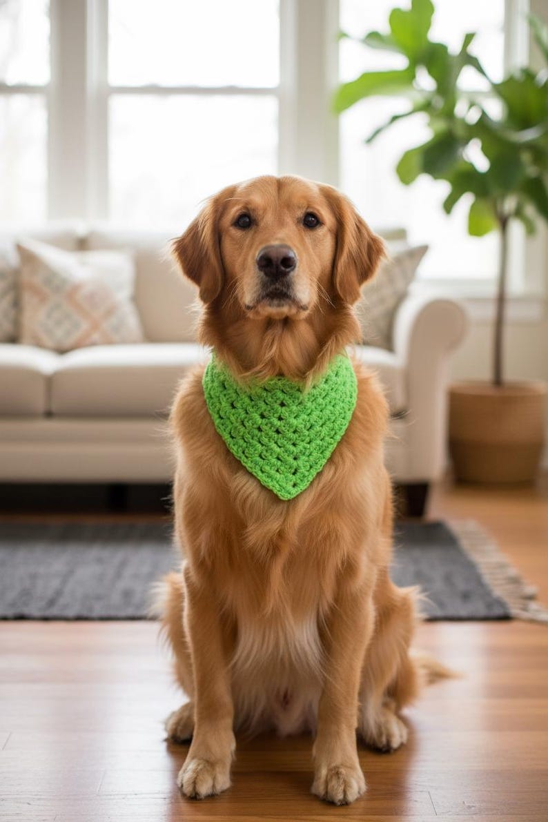 Haakpatroon hondenbandana (pdf), gemakkelijke sjaal voor huisdieren, direct downloaden afbeelding 6