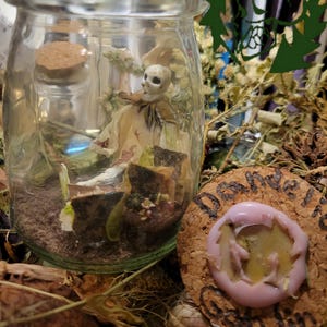 May include: A clear glass jar with a cork lid, containing a miniature skull figurine and dried plants. A cork coaster with a pink wax seal and handwritten text is next to the jar. The scene is surrounded by dried foliage.