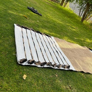 May include: A rectangular woven rug with a white, brown, and black striped pattern. The rug is lying on green grass. The rug has tassels on one end.