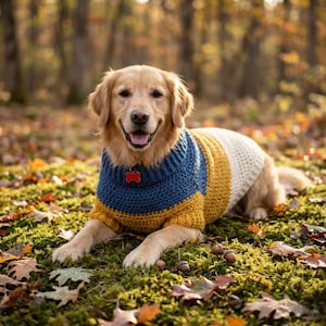 May include: A Golden Retriever dog wearing a blue, yellow, and white sweater, with a red tag on its collar. The dog is lying on a bed of green moss and fallen leaves, with a blurred forest background.