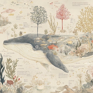 Op de afbeelding: Een geïllustreerde prent met een walvis met een gedetailleerde doorsnede die een onderwater ecosysteem laat zien. De walvis is grijs, met diverse planten, vissen en koraal erin. De achtergrond is beige met extra zeeleven en tekst.