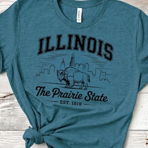 Illinois Shirt, Prairie State Sweatshirt, Chicago Skyline Tee, Buffalo Illinois Graphic Hoodie, Unisex Illinois Gift, State Pride T-Shirt