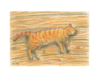 Drawing - I almost stepped on you ! - ACEO card - 3.5 inch x 2.5 inch