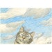 see more listings in the Drawing ACEO size section