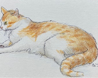 Drawing - Two legged Komugi - ACEO card - 3.5 inch x 2.5 inch