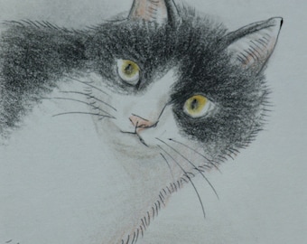 Drawing - Black and white cat - ACEO card - 3.5 inch x 2.5 inch