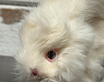Peut inclure: Un lapin en peluche recouvert d'une longue fourrure blanche et douce. La figurine présente un petit nez rouge foncé et des yeux ronds proéminents avec des contours rose rougeâtre. La fourrure est dense et ébouriffée sur toute la tête.