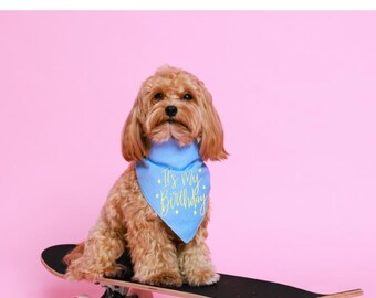 It's My Birthday Dog Bandana | Puppy Party Outfit