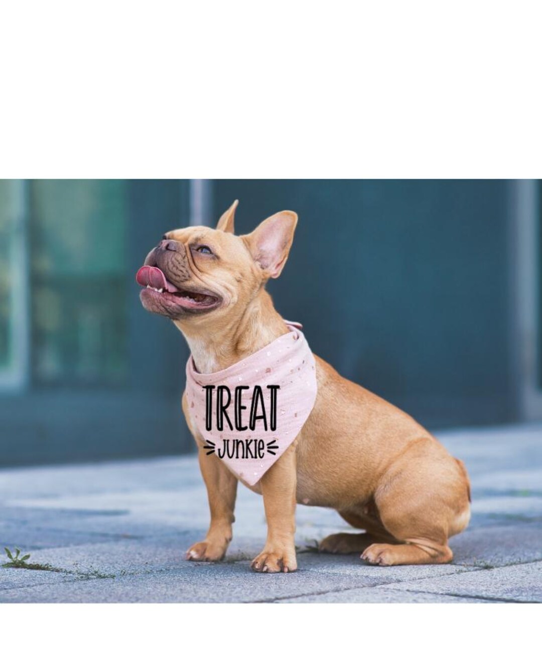 Treat Junkie Dog Bandana | Funny Pet Humor Accessory - Etsy