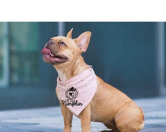 Little Pumpkin Dog Bandana | Fall Pet Accessory