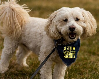 Funny Dog Bandana | I Still Live With My Parents, Pet Humor