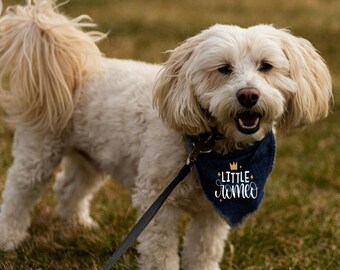 Little Romeo Dog Bandana | Puppy Valentine Outfit