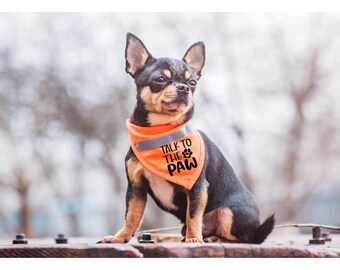 Talk to the Paw Dog Bandana | Sassy Pet Accessory