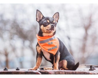 Pets Are Always Welcomed Dog Bandana | Pet-Friendly Home Accessory