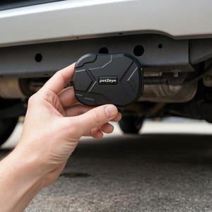 GPS Fahrzeug Tracker Petzeye 905 4G, Echt-Zeit-Tracking, wasserfest, meldet, GeoFence-Warnungen, Wartungsmanagement