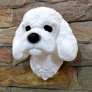 May include: A white poodle head sculpture with black eyes and nose, mounted on a multi-colored stone wall. The sculpture has a textured, fluffy appearance, capturing the likeness of the dog breed. The wall provides a rustic backdrop.