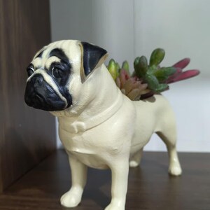 Puede incluir: Una maceta con forma de perro pug de color crema, con detalles en negro en la cara y las orejas. El pug contiene un pequeño arreglo de suculentas en su espalda. La maceta es de cerámica o un material similar.