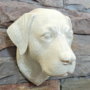 May include: A cream-coloured Labrador Retriever head sculpture mounted on a stone wall. The dog's features are detailed, with visible eyes, nose, and ears. The wall is composed of various shades of brown, grey, and tan stones.