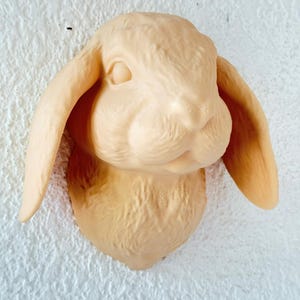 Bunny head wall mount, ear lop rabbit, Home décor, gifts for dad, pets, living room decoration piece, animal head , art, 3d printed