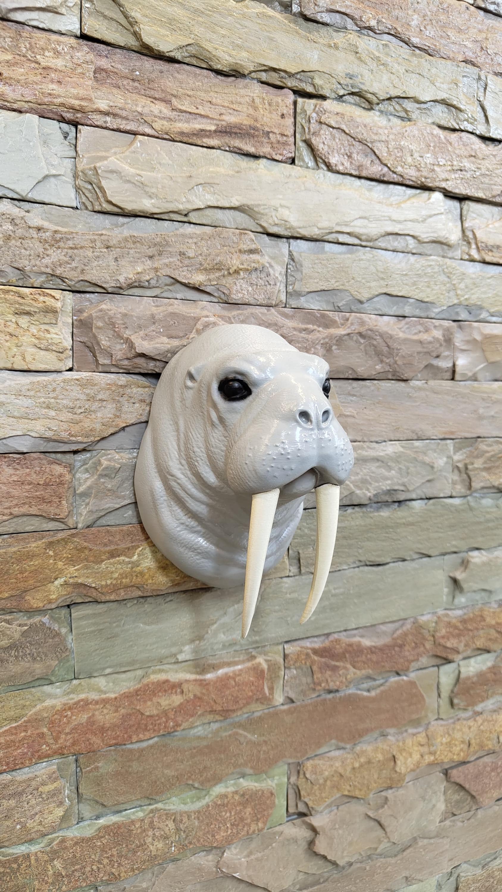Walrus Head Wall Mount, Wildlife Safari Home Décor, Gifts for Dad