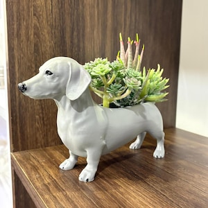 Pode incluir: Um vaso em forma de dachshund cinza claro com uma variedade de suculentas verdes e rosas. O vaso de cachorro é feito de cerâmica ou material semelhante e fica em uma prateleira de madeira. O cachorro está em pé.