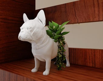 May include: A white ceramic French bulldog planter with green plants sprouting from its back. The dog-shaped planter is standing on a dark wood shelf, with a matching wood background.