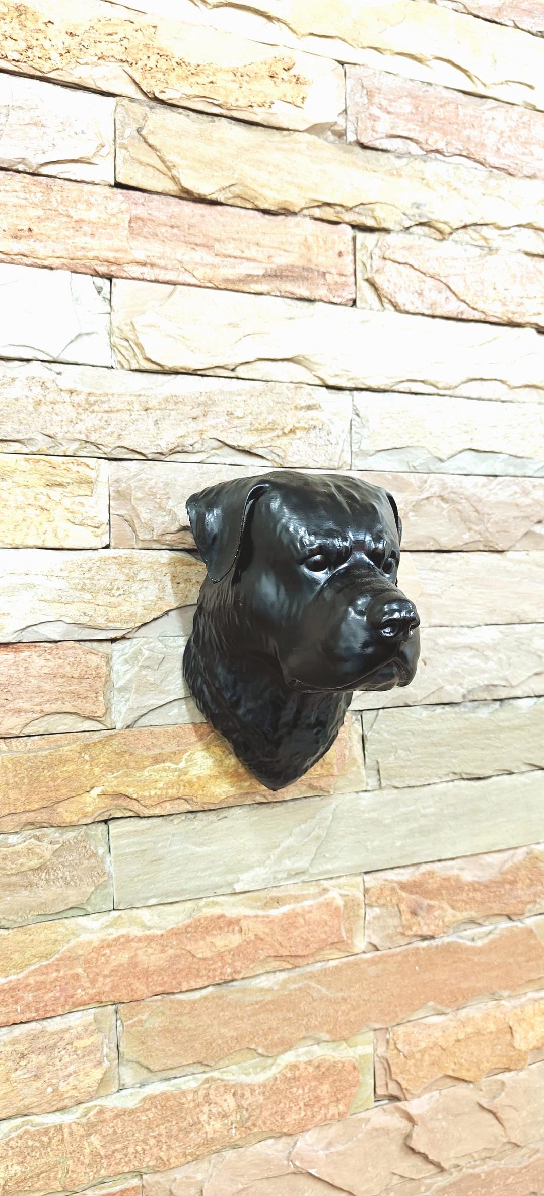 Rottweiler Dog Head Wall Mount, Home Décor, Gifts for Dad, Pets, Living ...