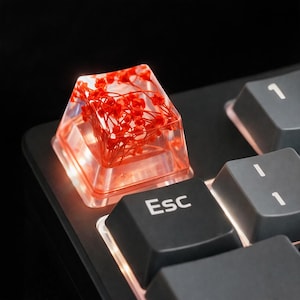 Tecla artesanal de resina com flores secas – Tecla OEM transparente para teclado mecânico, compatível com Cross-Axis, acessório decorativo exclusivo.