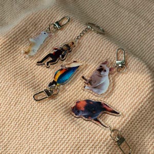 May include: A collection of acrylic keychains featuring various designs. The keychains include images of a white bird, a person in a spacesuit, a colorful parrot, a white dog, and a dog with brown and black markings. Each keychain has a silver-colored clasp.