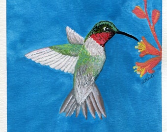 Ruby Throated Hummingbird Original 6x6 Gouache Painting - blue background