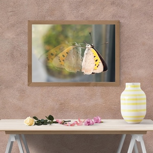 Puede incluir: Una impresión enmarcada de una mariposa con alas amarillas y negras, reflejada en una ventana. Un jarrón a rayas amarillas y blancas, una rosa y flores rosas están sobre una mesa frente a una pared texturizada. Tema natural.