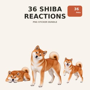 以下が含まれることがあります： PNG形式の36種類の柴犬のリアクションステッカーバンドル。明るい背景に、36 SHIBA REACTIONSおよびPNG STICKER BUNDLEというテキストと、さまざまなポーズをとった3匹の柴犬のイラストが描かれています。
