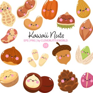 May include: A collection of sixteen digital illustrations of various nuts and seeds with smiling faces and pink cheeks. The text reads Kawaii Nuts EPS | PNG | by CLOVERLITTLEWORLD 16. The set includes peanuts, cashews, almonds, chestnuts, and acorns.